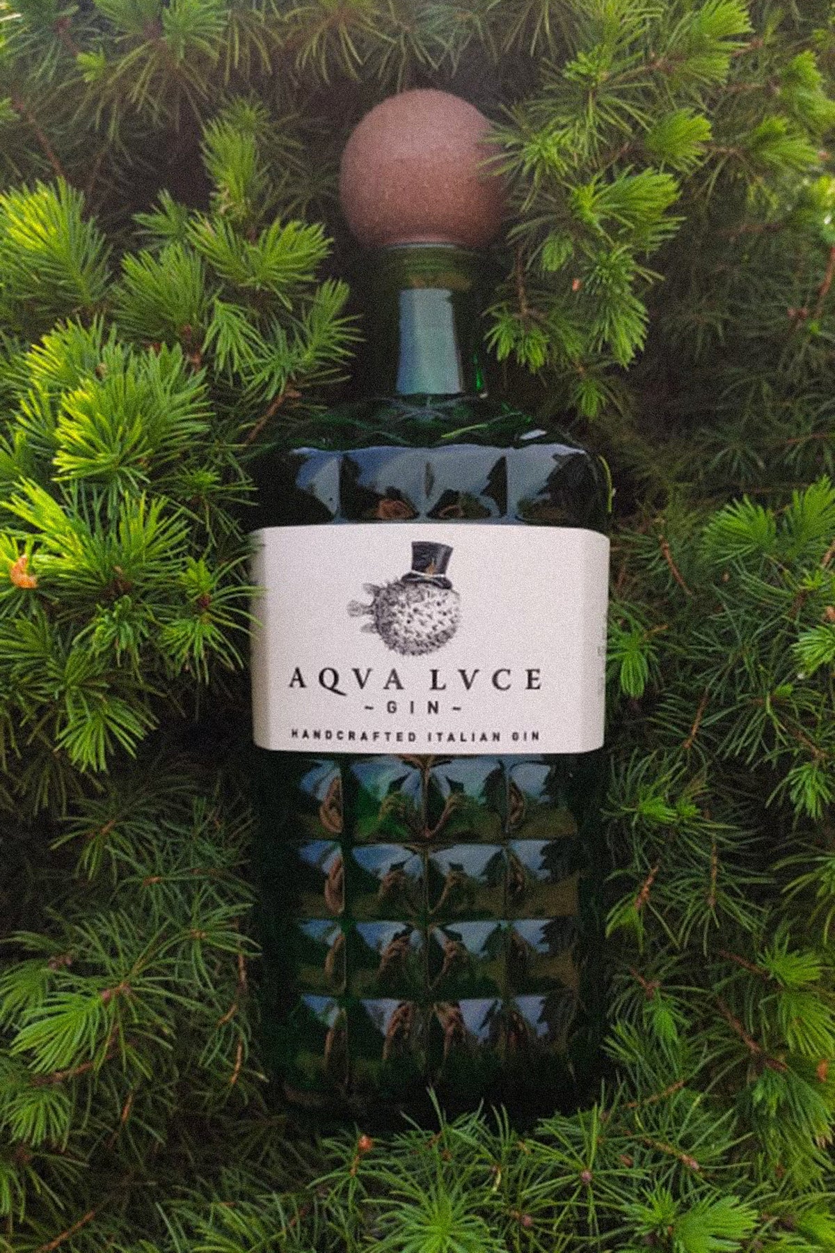Aqva Lvce Dry Gin, 47% ABV, 0.7L-zoom-2