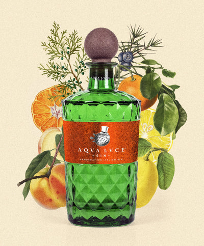 Aqva Luce Gin V.I.C.E., 45,7%, 0.7L-zoom-