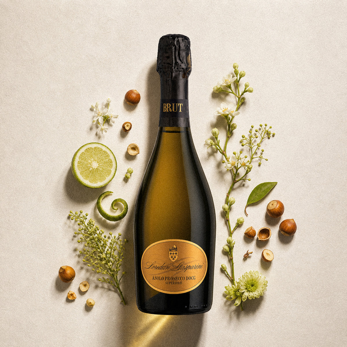 Asolo Prosecco Superiore DOCG Brut Loredan Gasparini, 11%, 0.75L