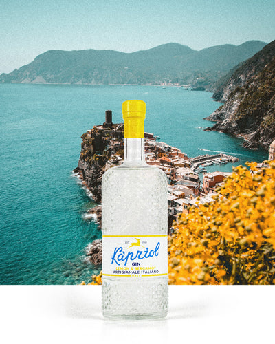 Kapriol Gin Lemon&Bergamot, 40.7%, 0.7L-zoom-