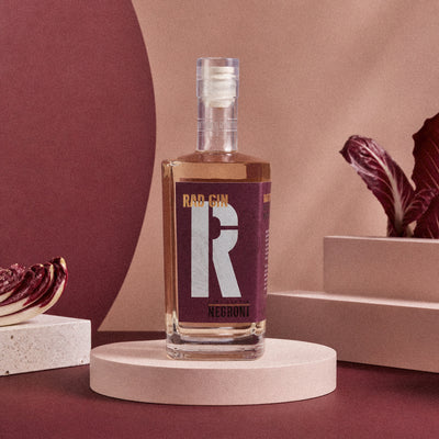 Rad Gin Radicchio Rosso di Treviso PGI Negroni, 45%, 0.7L-zoom-