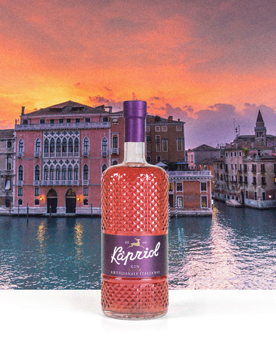 Kapriol Sloe Gin, 28.7% ABV, 0.7L-zoom-