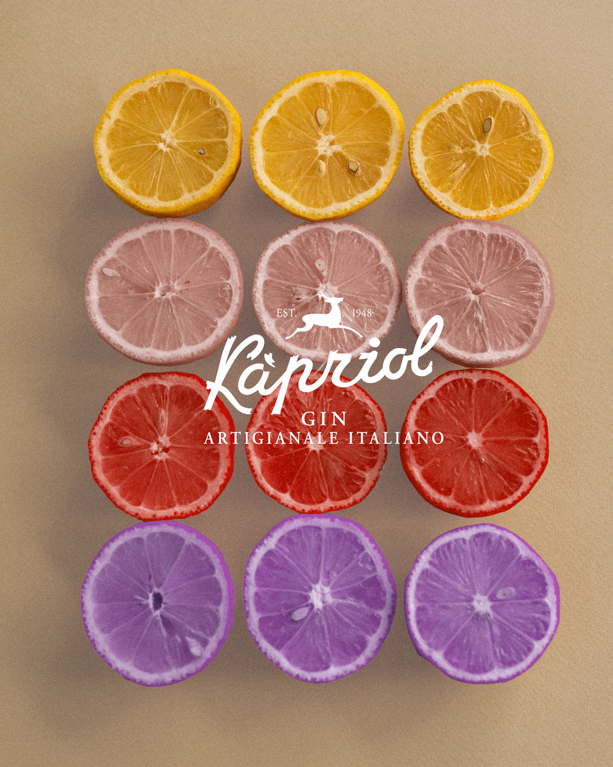 Kapriol Sloe Gin, 28.7% ABV, 0.7L