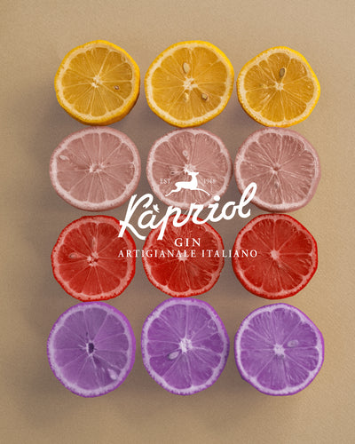 Kapriol Sloe Gin, 28.7% ABV, 0.7L-zoom-